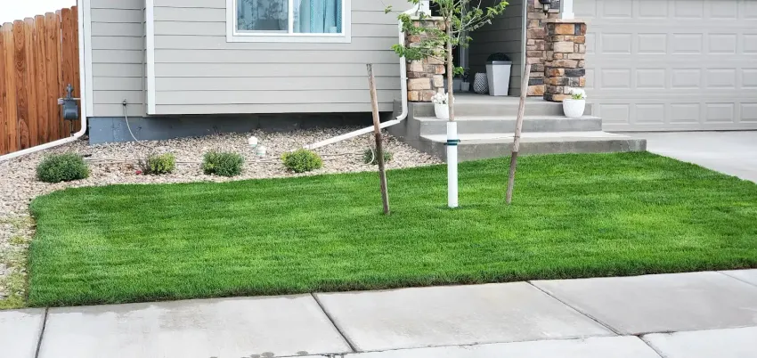 Backyard lawn with fresh green grass, stone edging, and a wooden fence along the left side