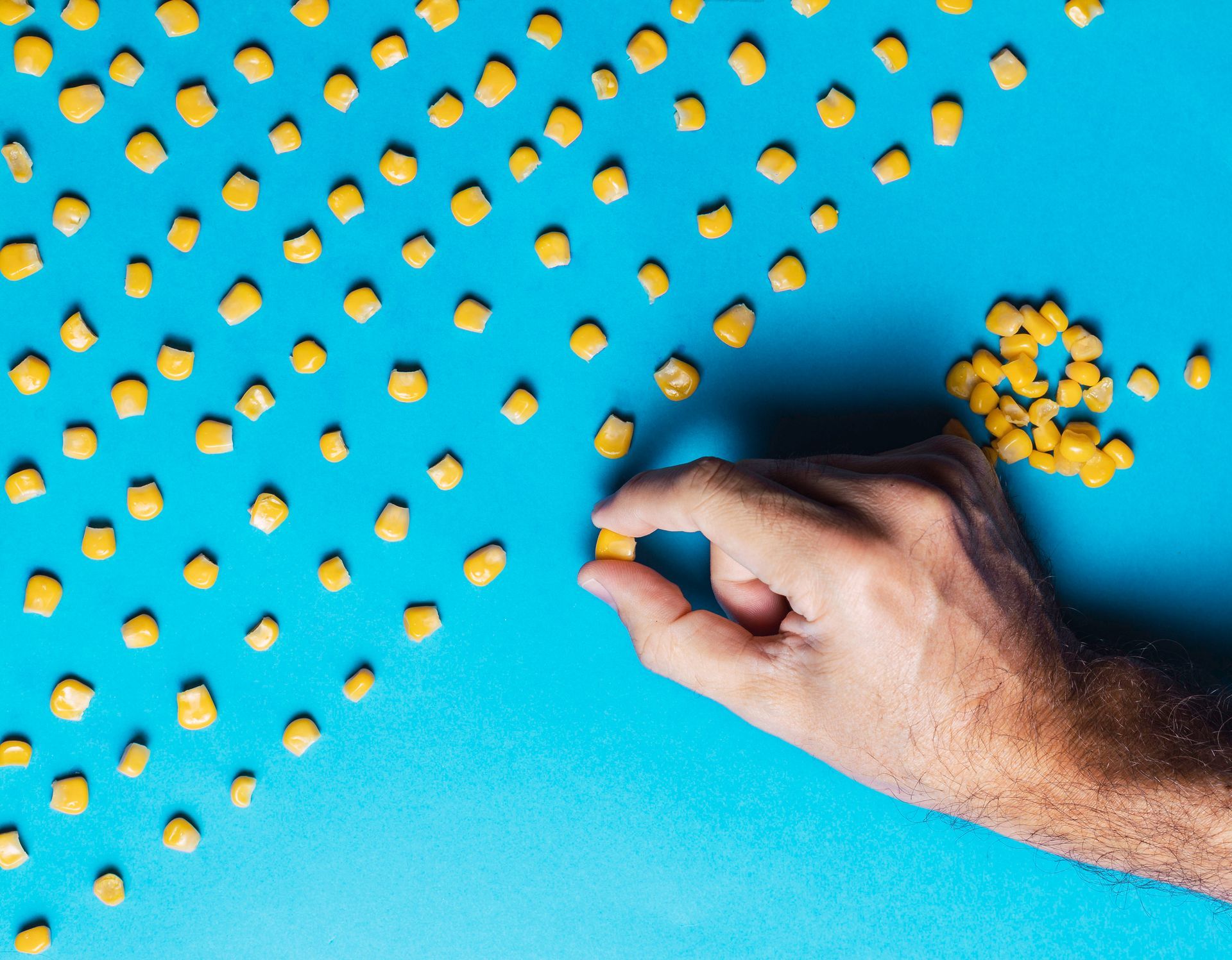 A hand arranges individual yellow corn kernels in a grid pattern against a solid bright blue background.