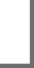 White space with a gray border on the right and bottom.