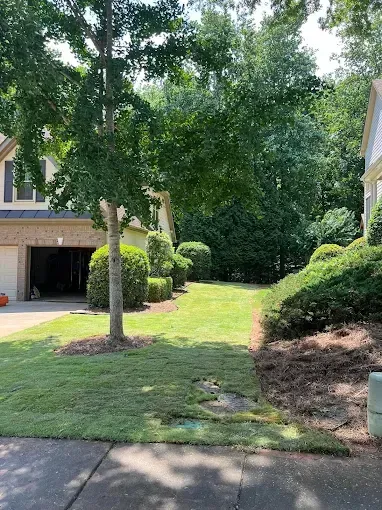 Lawn and landscaping between houses. Green grass, trees, and trimmed shrubs are along a driveway and sidewalk.