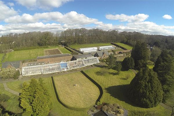 Aerial view of a long, white building with glass panels surrounded by green lawns, trees, and a blue sky.