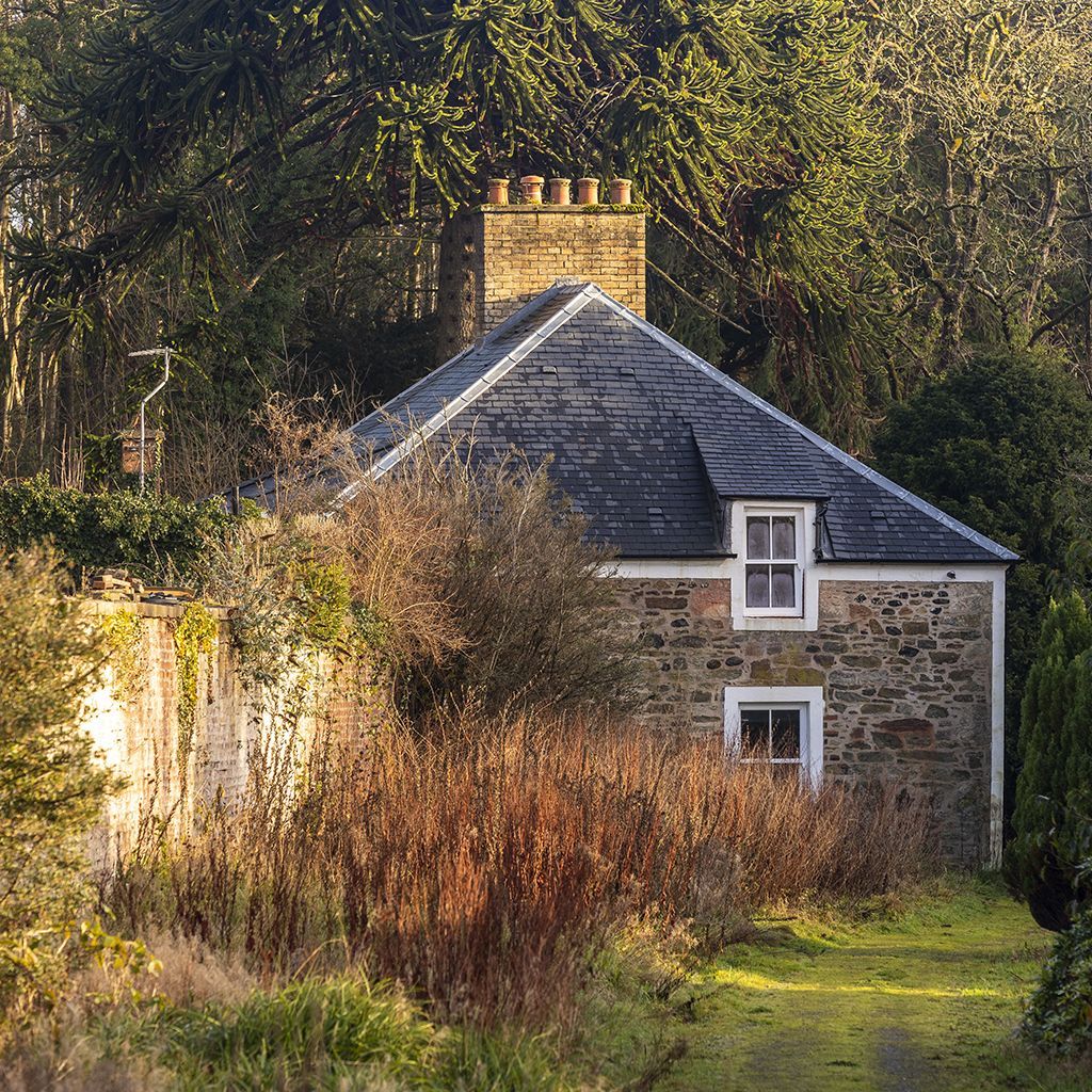Stone cottage nestled among trees, slate roof, small windows, chimney.