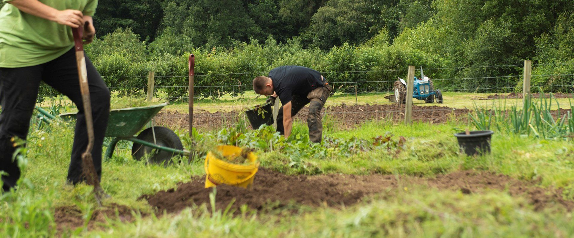 Man with tattoo standing in garden