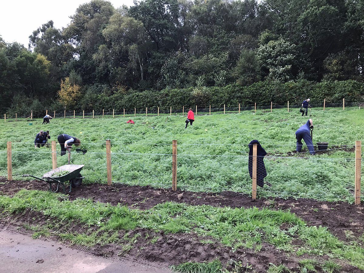 Two men watering garden