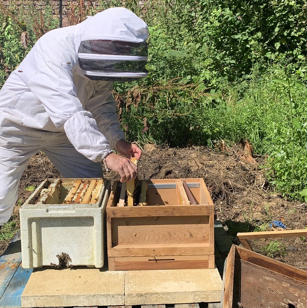 Beekeeper in a protective suit inspecting beehives outdoors.