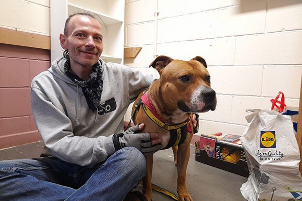 Man sitting with a brown dog wearing a harness. Both are looking at the camera. Indoor setting with a white bag.