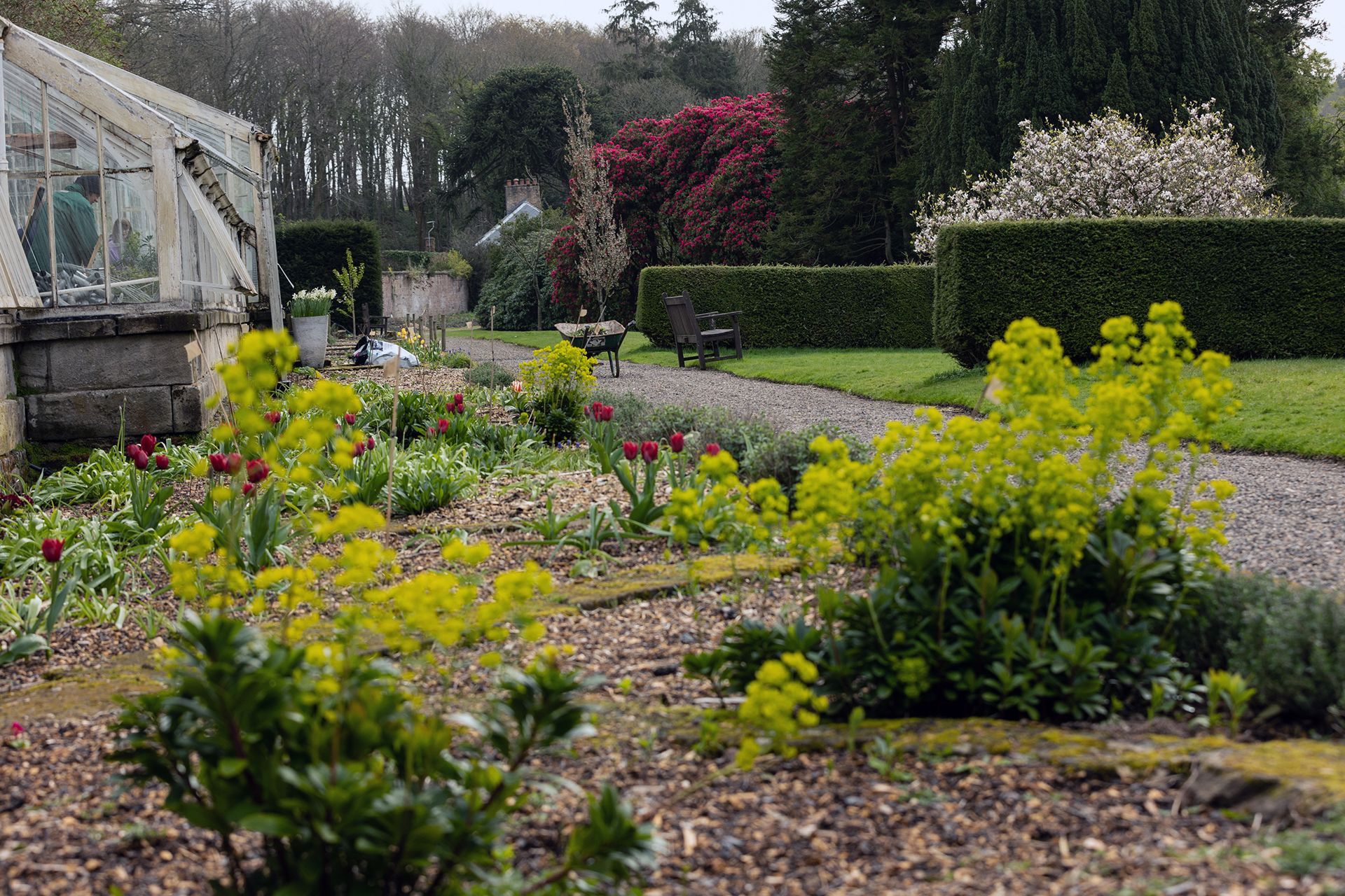 A garden path lined with flowers, leading past a greenhouse and manicured hedges.