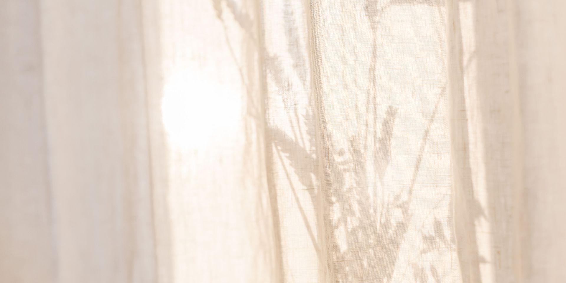 A close up of a white curtain with a shadow of a plant on it.