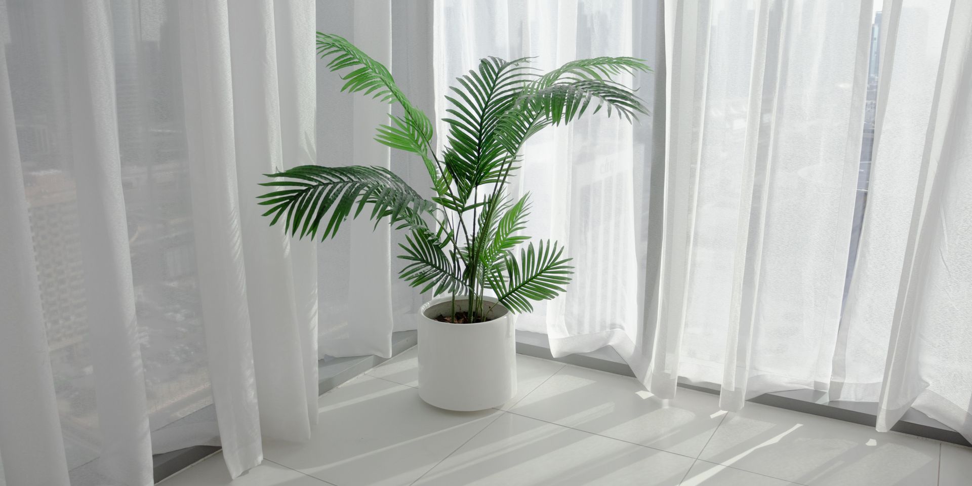 A potted plant is sitting in front of a window with white curtains.