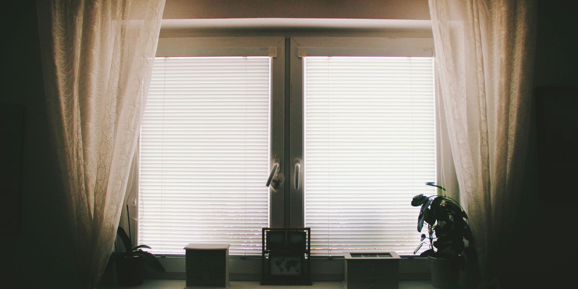 Window with closed blinds, sheer curtains, and a plant in front of the window.