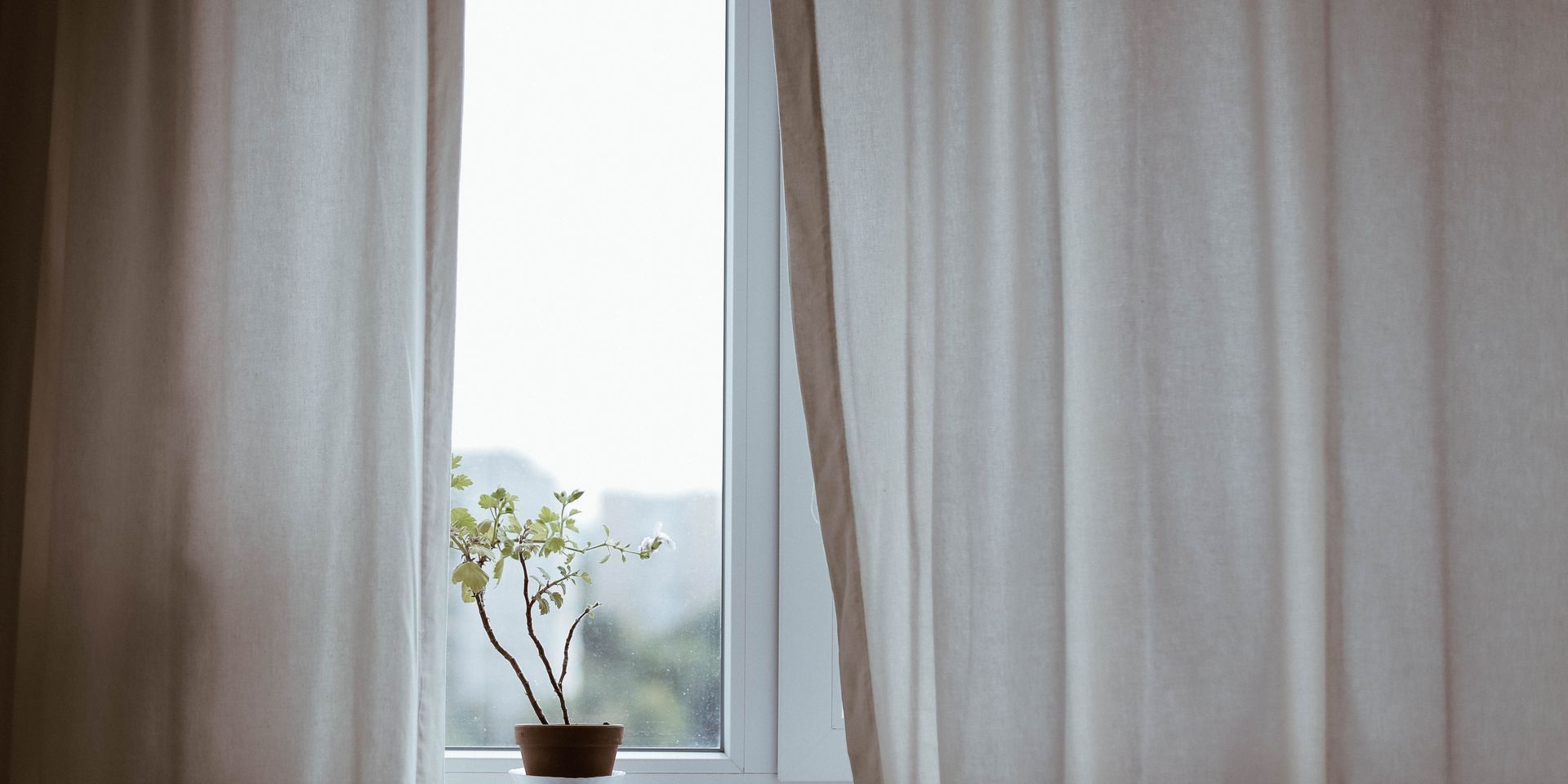 A potted plant is sitting on a window sill next to a window with white curtains.