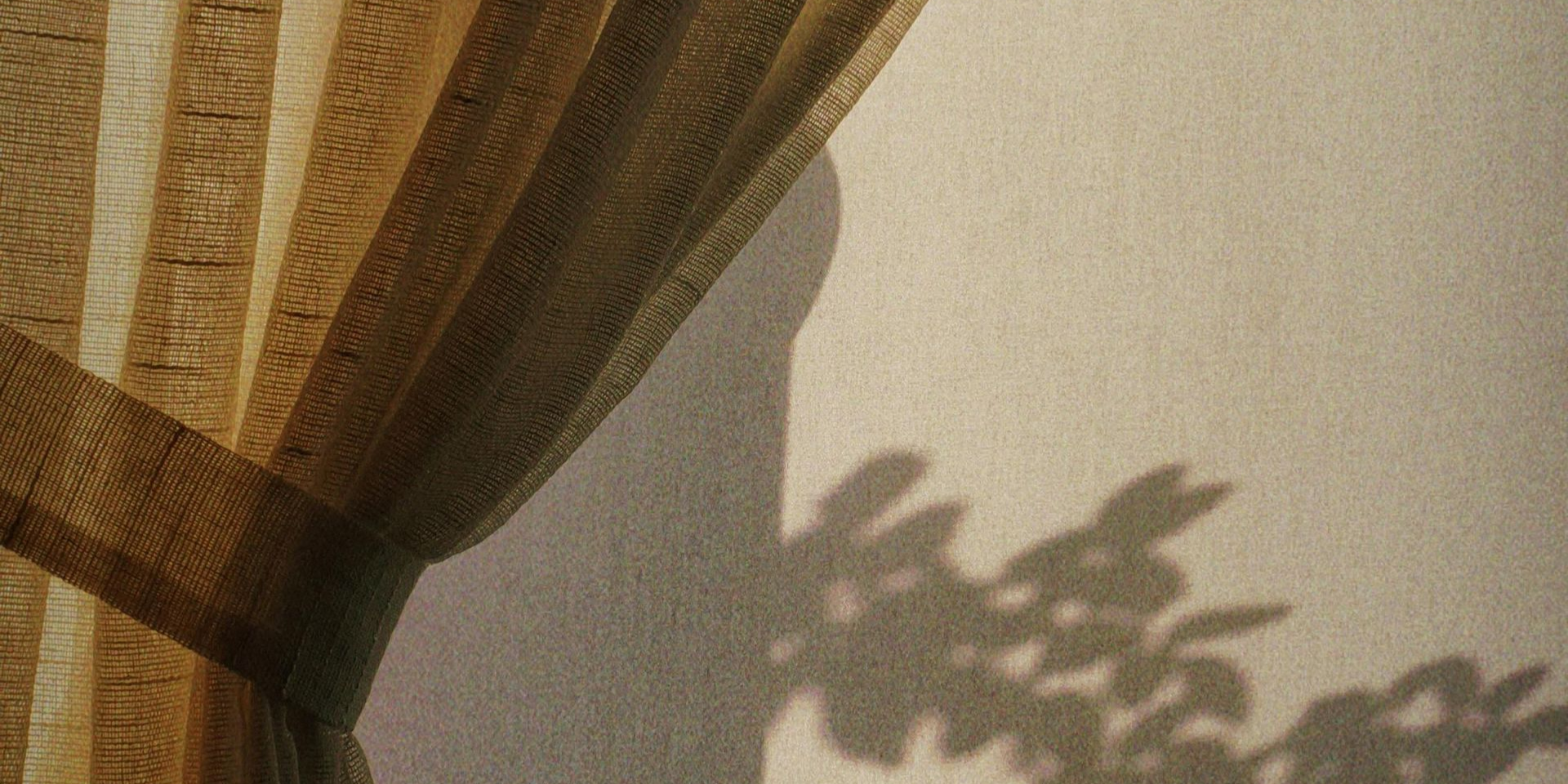 Sheer gold curtain next to a window, casting shadow of tree branches on the wall.