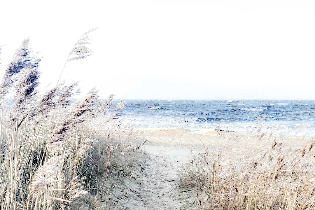 Fotografie Natur Nordsee von Nordfische