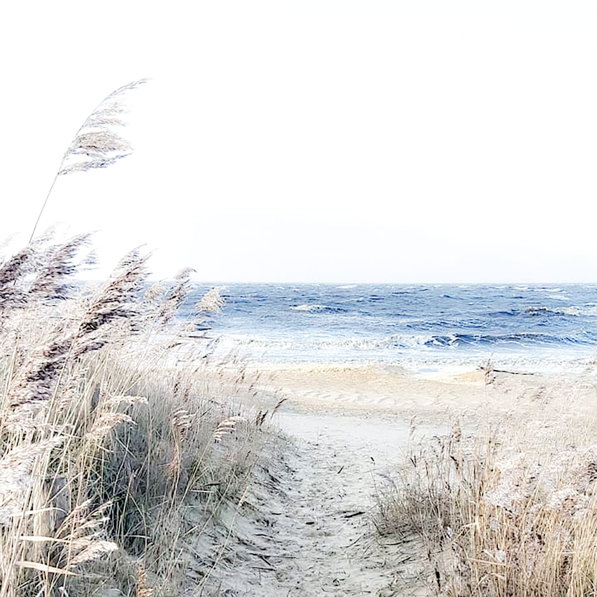 Fotografie Natur Nordsee von Nordfische