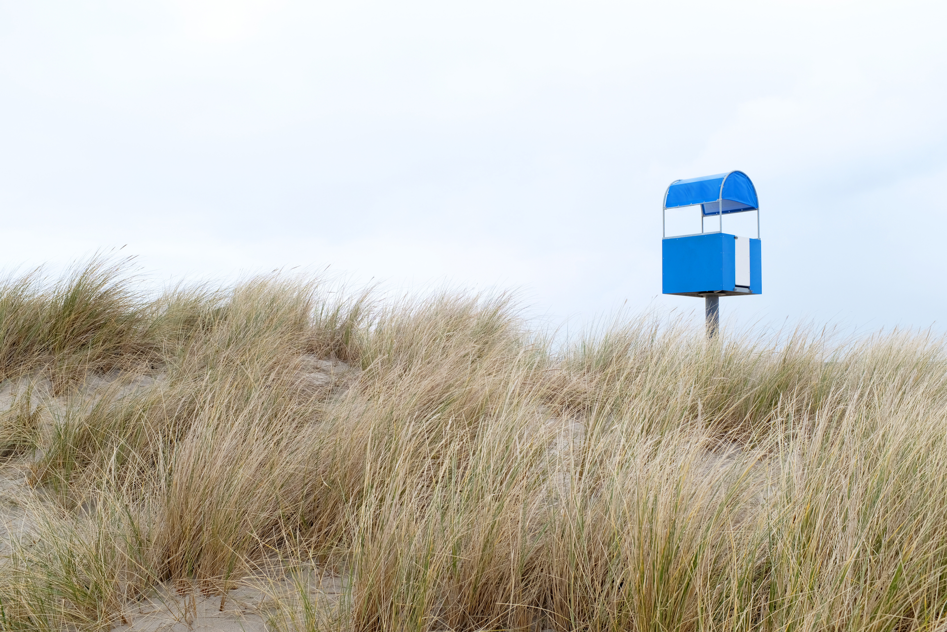 Fotografie Natur Ostsee von Nordfische