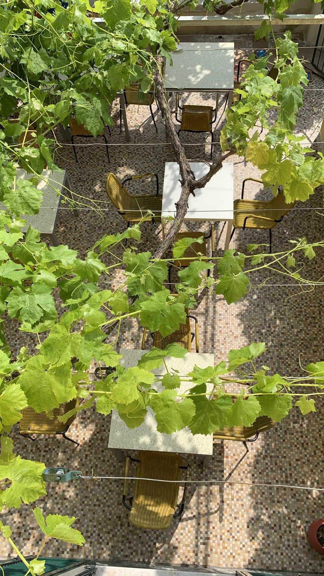 Il Pilota Restaurant on the Magra River