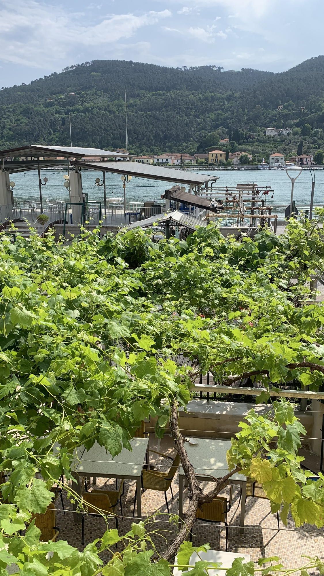 Restaurant with terrace