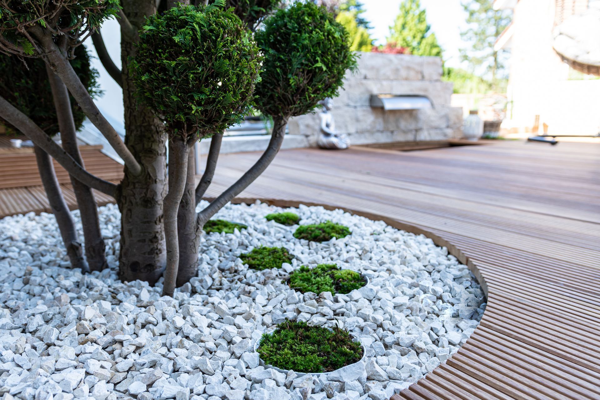 A close-up of a tree with rounded shrubs, surrounded by white gravel and small green plants on a wood-slatted patio.