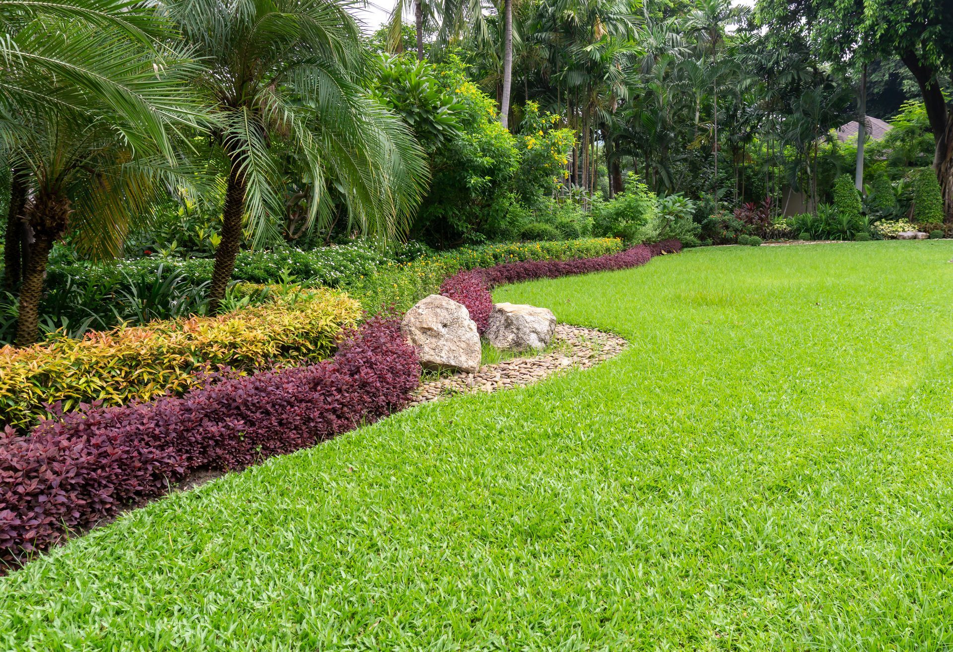 A lush green lawn bordered by a curving flower bed with purple and yellow foliage and decorative stones, near tall trees.