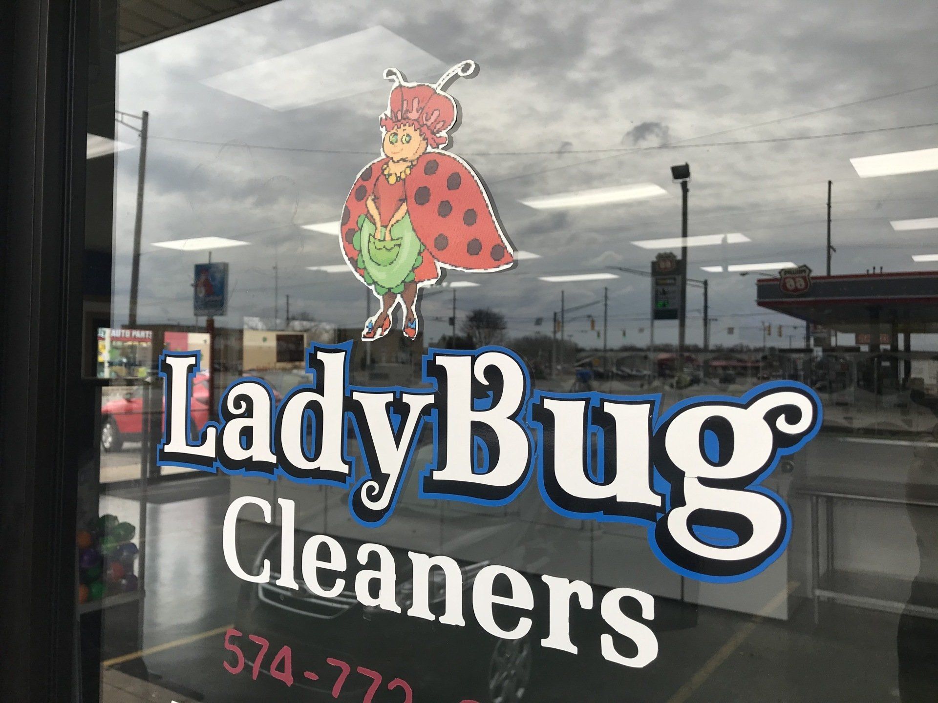 Ladybug Laundry photo 5