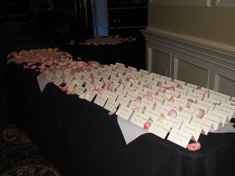 Table with escort cards arranged with pink rose petals at a wedding reception.