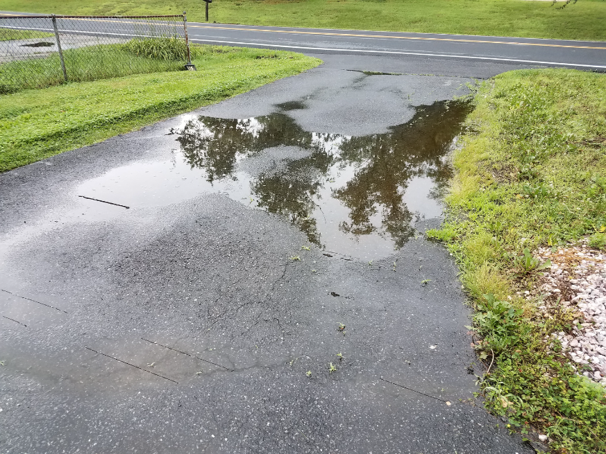 Wet Driveway