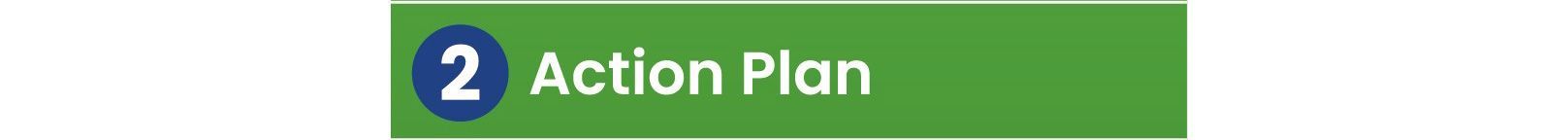 Action Plan