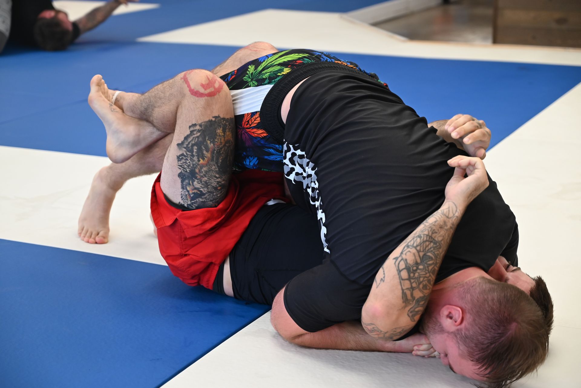 Adults practicing Brazilian Jiu-Jitsu drills at B-52 Jiu-Jitsu Academy in Perry, GA for strength.