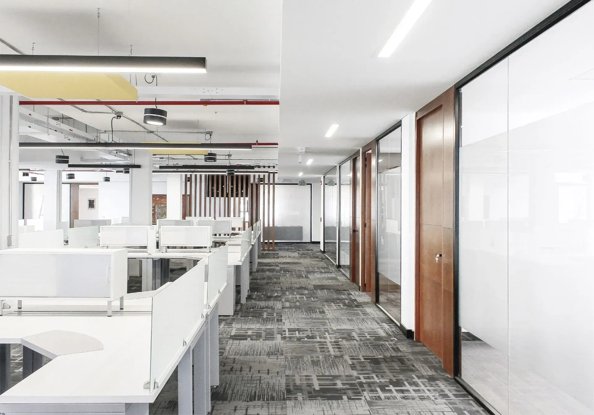 Espacio de oficina moderno con escritorios abiertos, oficinas con paredes de vidrio y alfombras estampadas.