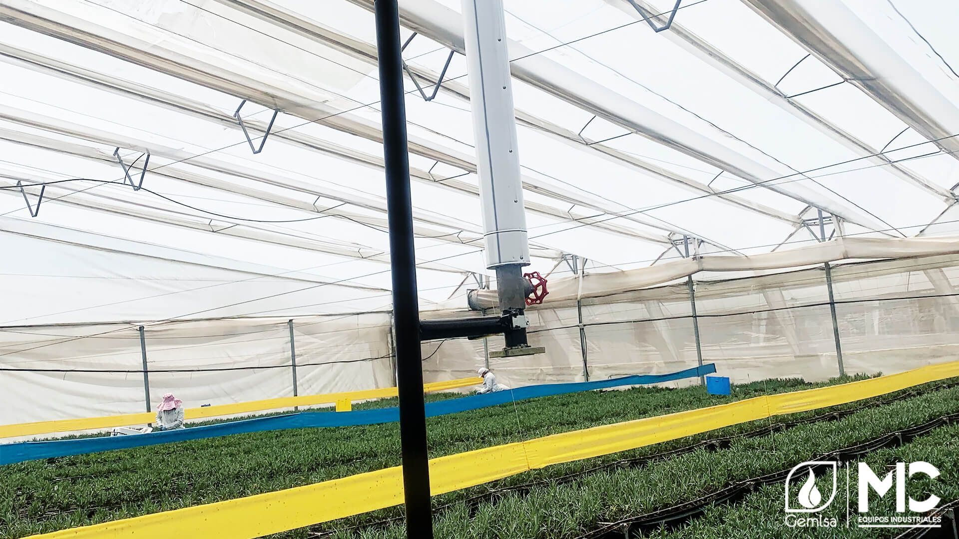 Dentro de un invernadero, un pulverizador robótico riega hileras de plantas.