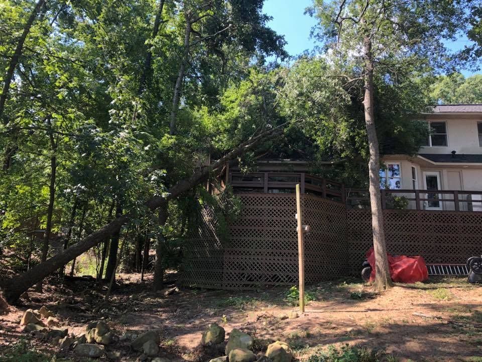 Backyard with chain-link fence, trees, and a house partially visible behind it