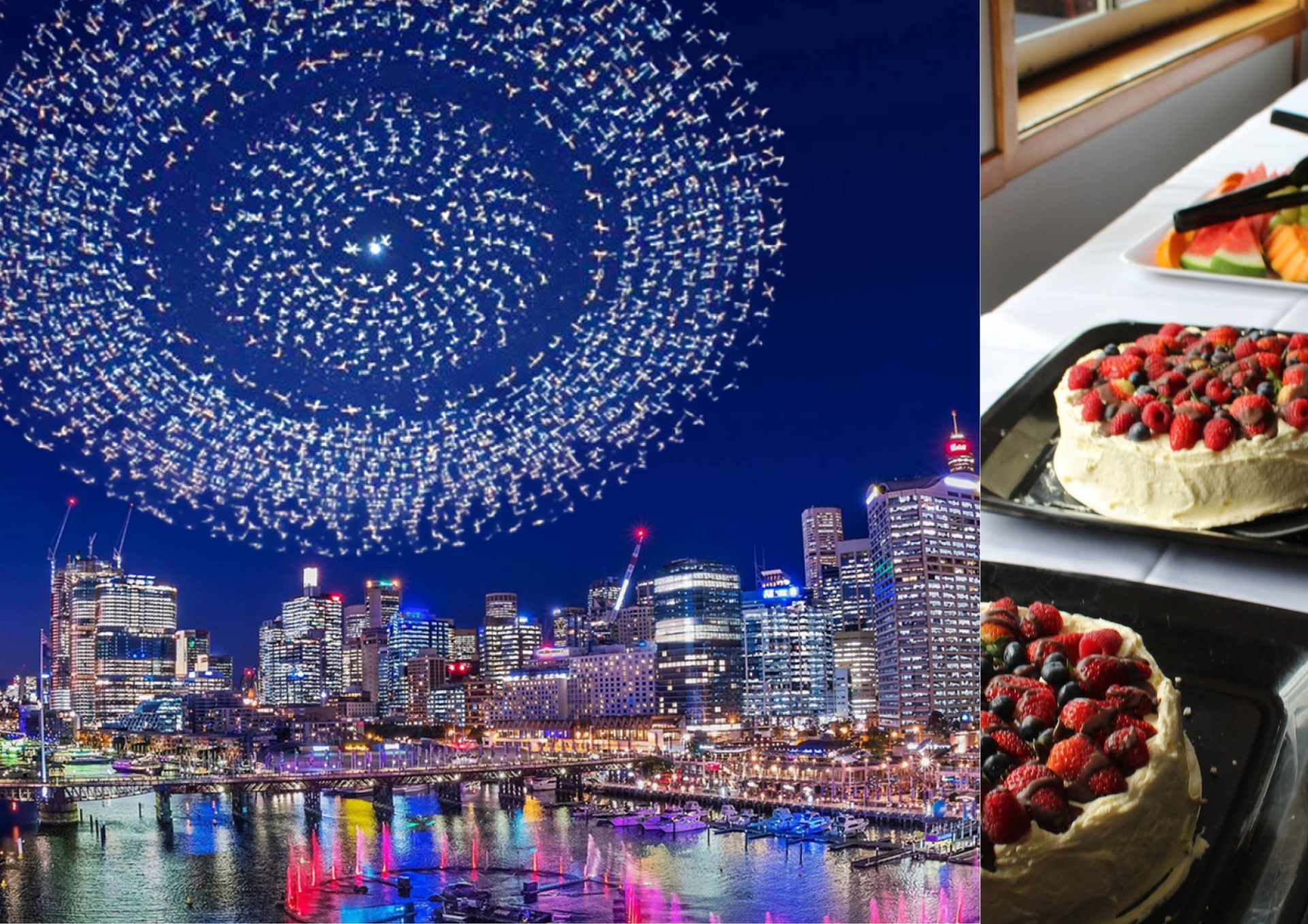 Vivid Drone Show Dinner Cruise