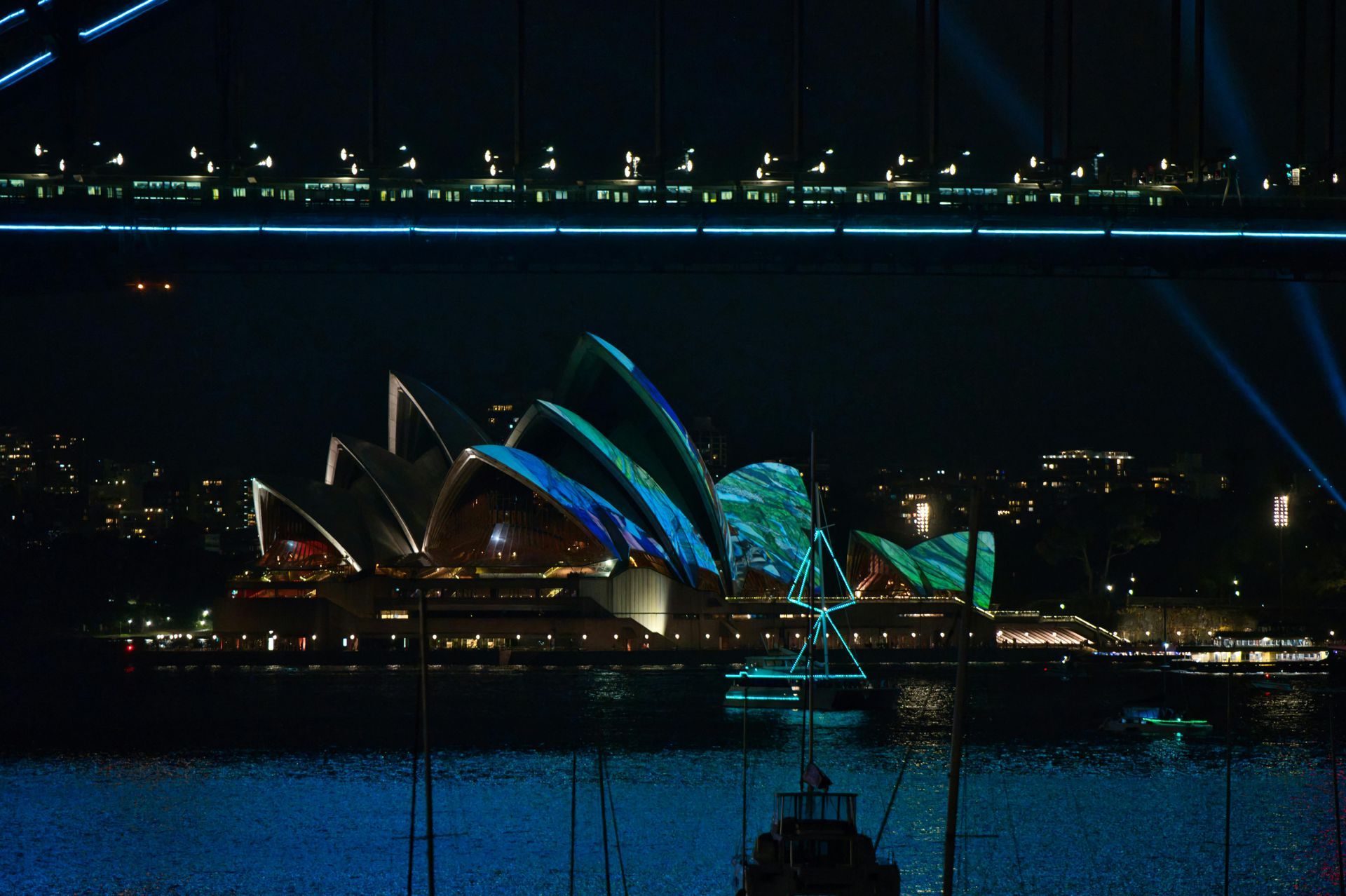 Vivid Entertainment Cruise 2