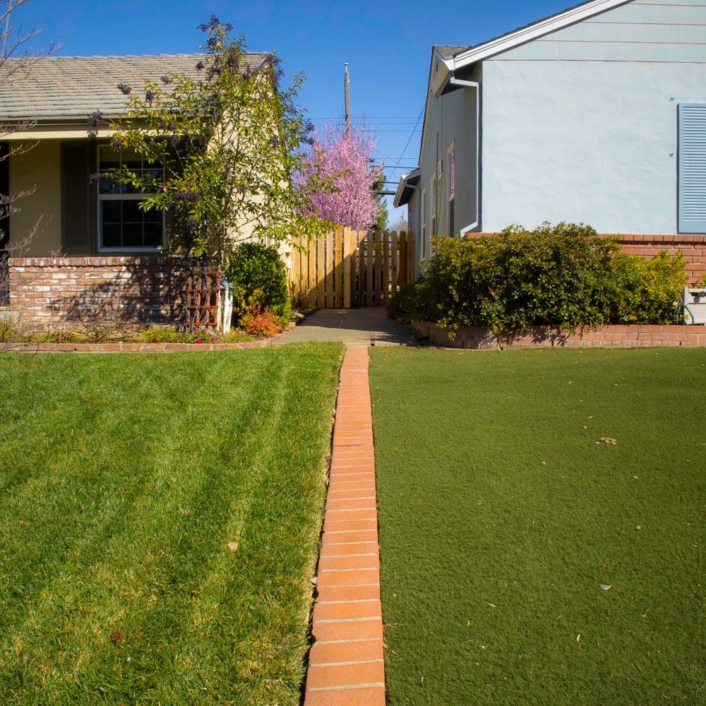 Vibrant green lawn in a well-maintained backyard, basking under the sunlight with a tranquil atmosphere.