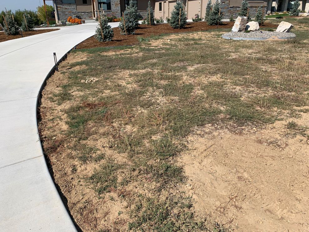 Initial groundwork for installing a new lawn in a backyard.