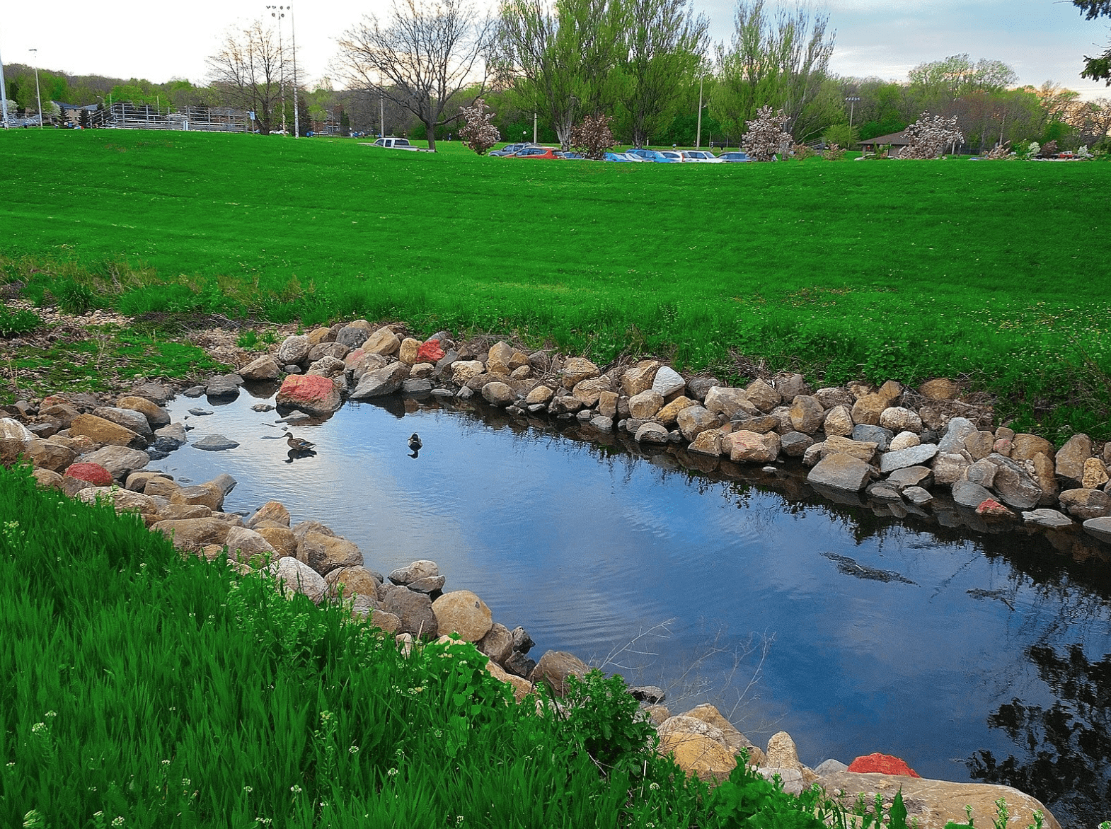 A detention pond surrounded by lush green vegetation, designed to manage storm water runoff.