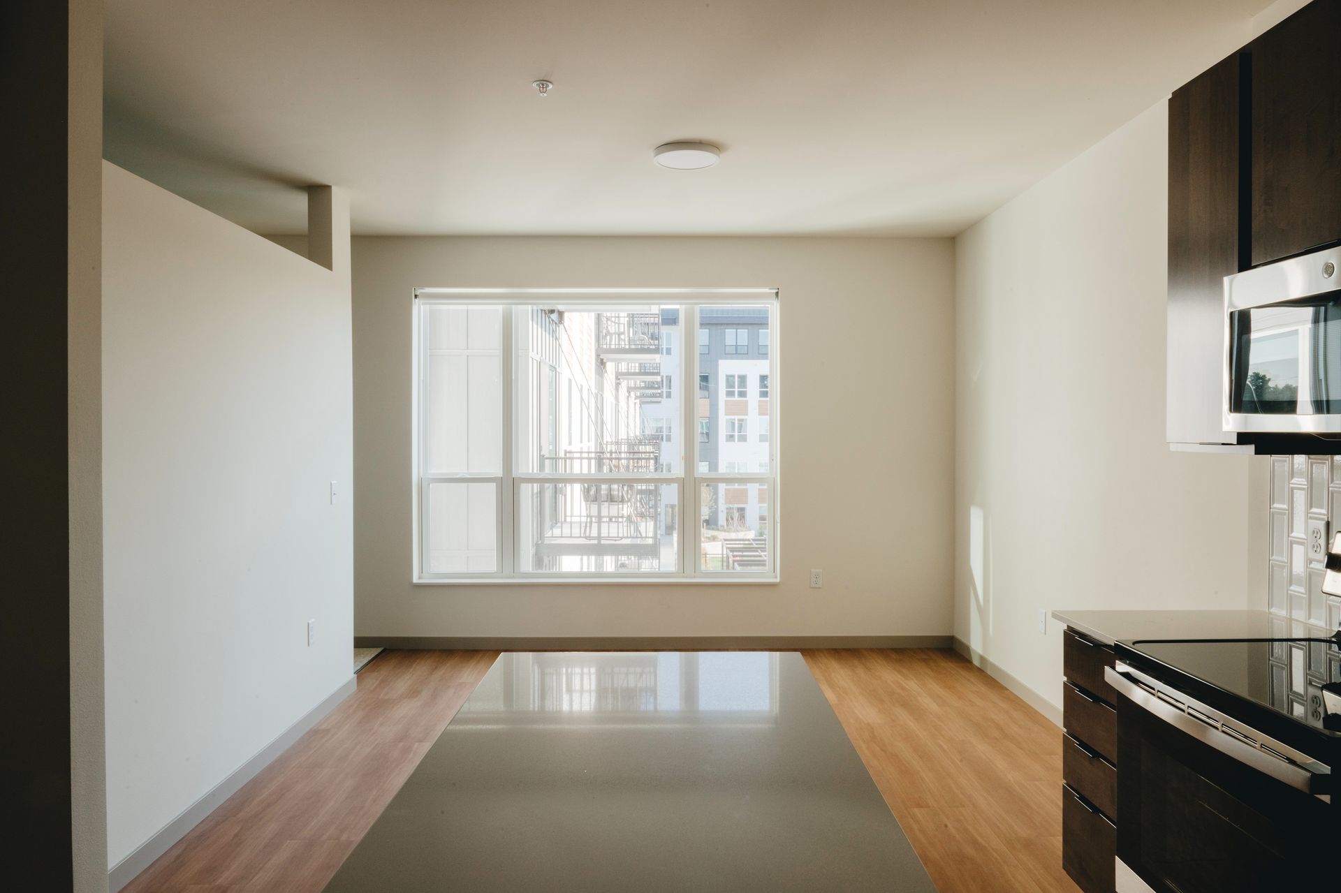 Empty apartment interior with hardwood floors, large window, and dark kitchen cabinets at Revelry in Madison WI.