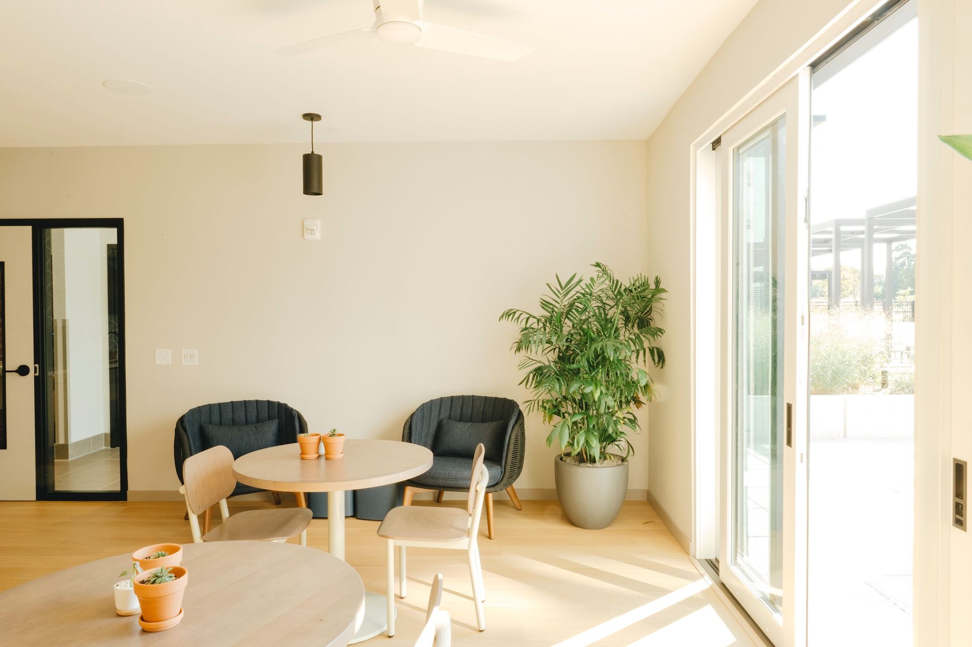Bright room with round tables, chairs, a large plant, and glass sliding doors at Revelry in Madison WI.