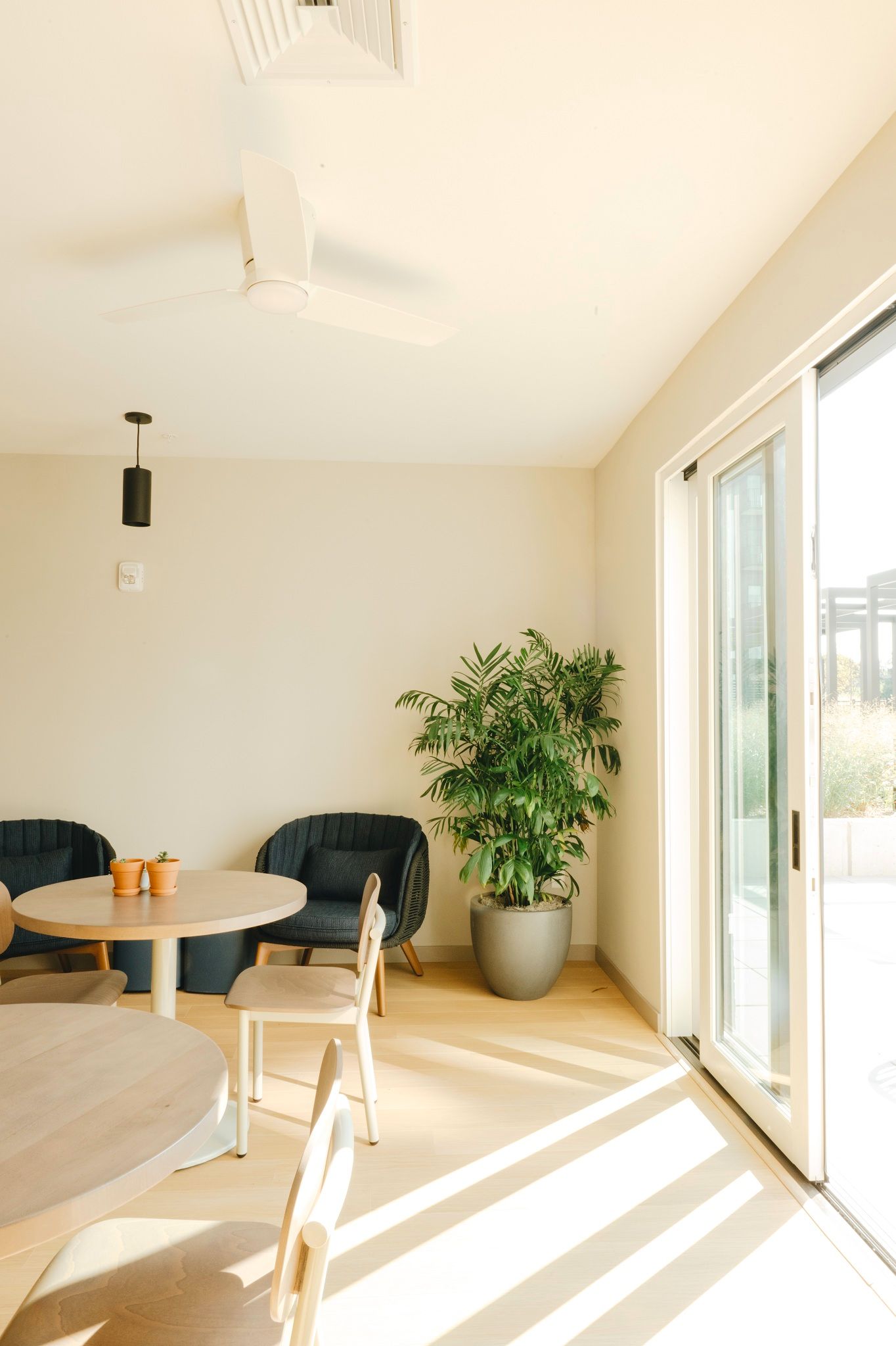 A bright room with tables, chairs, and a large potted plant near a sliding glass door at Revelry in Madison WI.