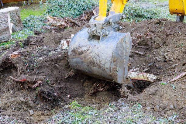 An excavator bucket digging into dirt and tree roots, removing a tree stump.