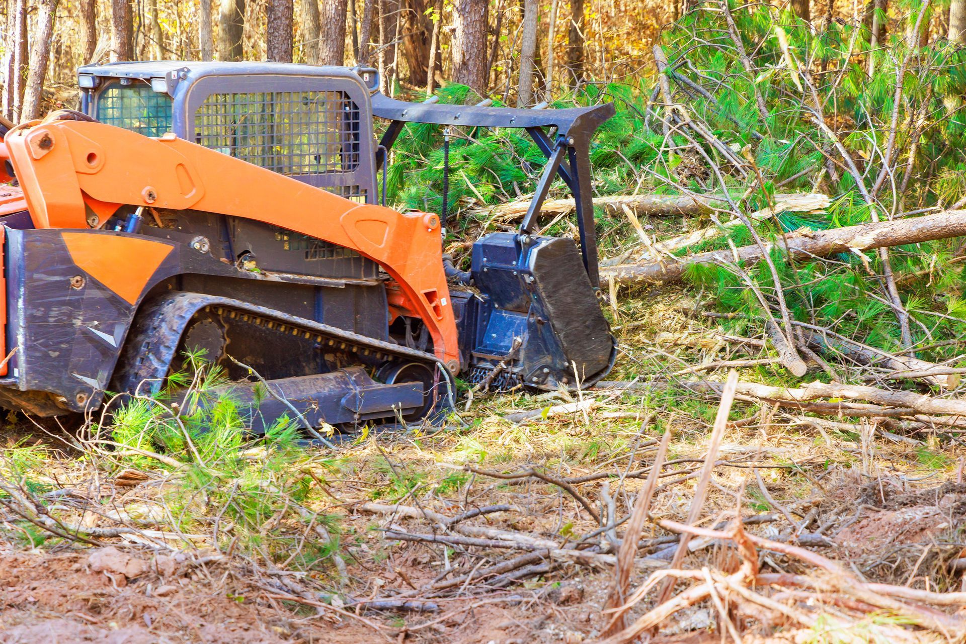 Orange and black skid steer clearing brush in a wooded area.