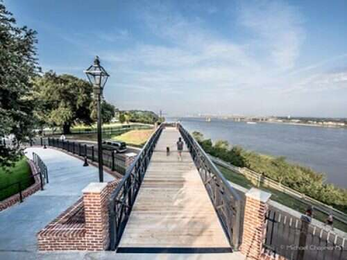 A pedestrian bridge over water. A person walks with a dog. Green trees, blue sky, and water in background.