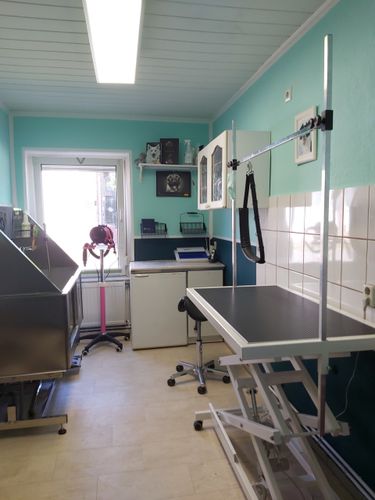 Tierpension Güstrow und Hundefriseur Güstrow - Gülzow-Prüzen