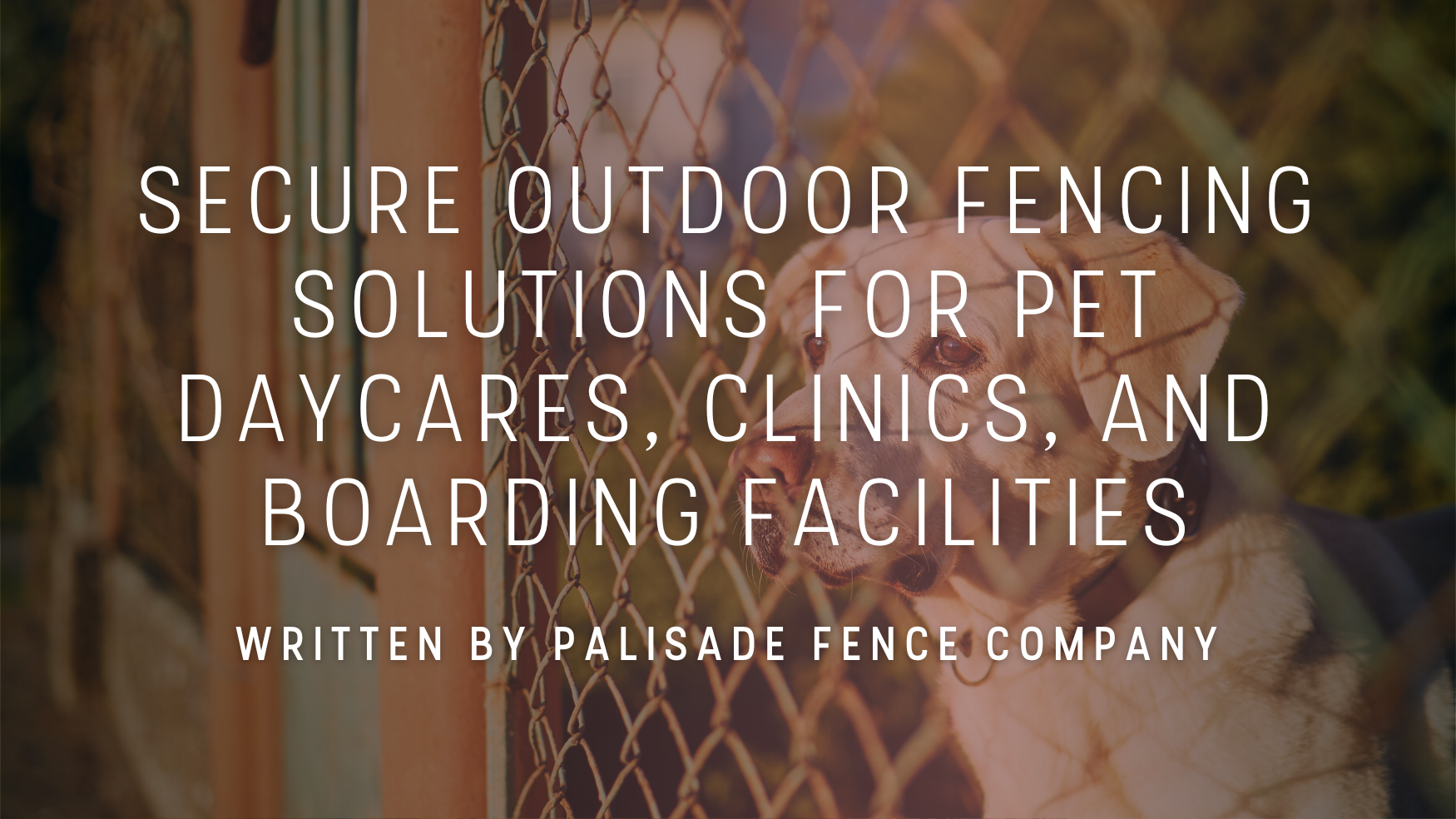Text on a fence: Secure outdoor fencing solutions for pet daycares, clinics, and boarding facilities.