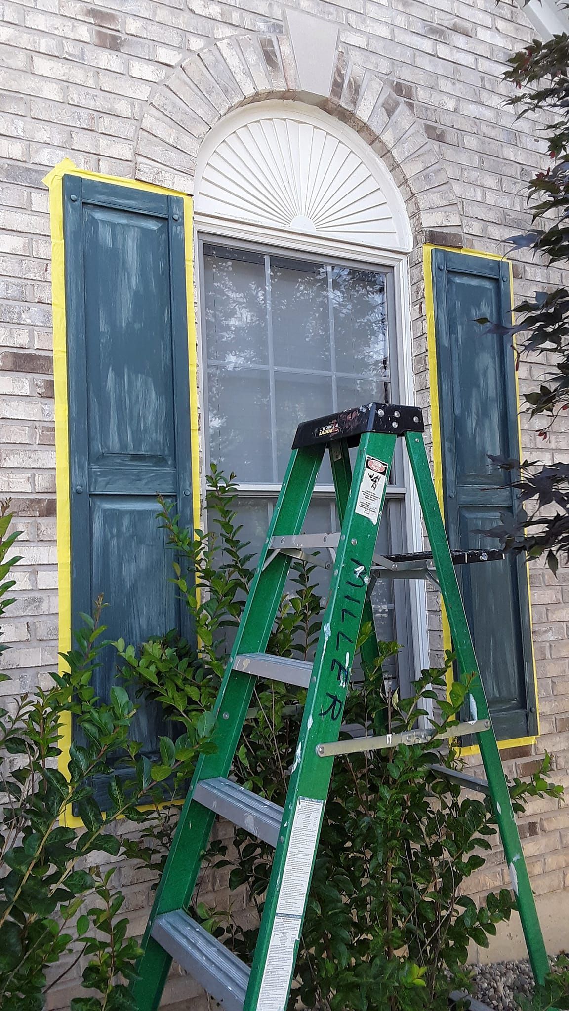 A green ladder is sitting in front of a window with blue shutters.
