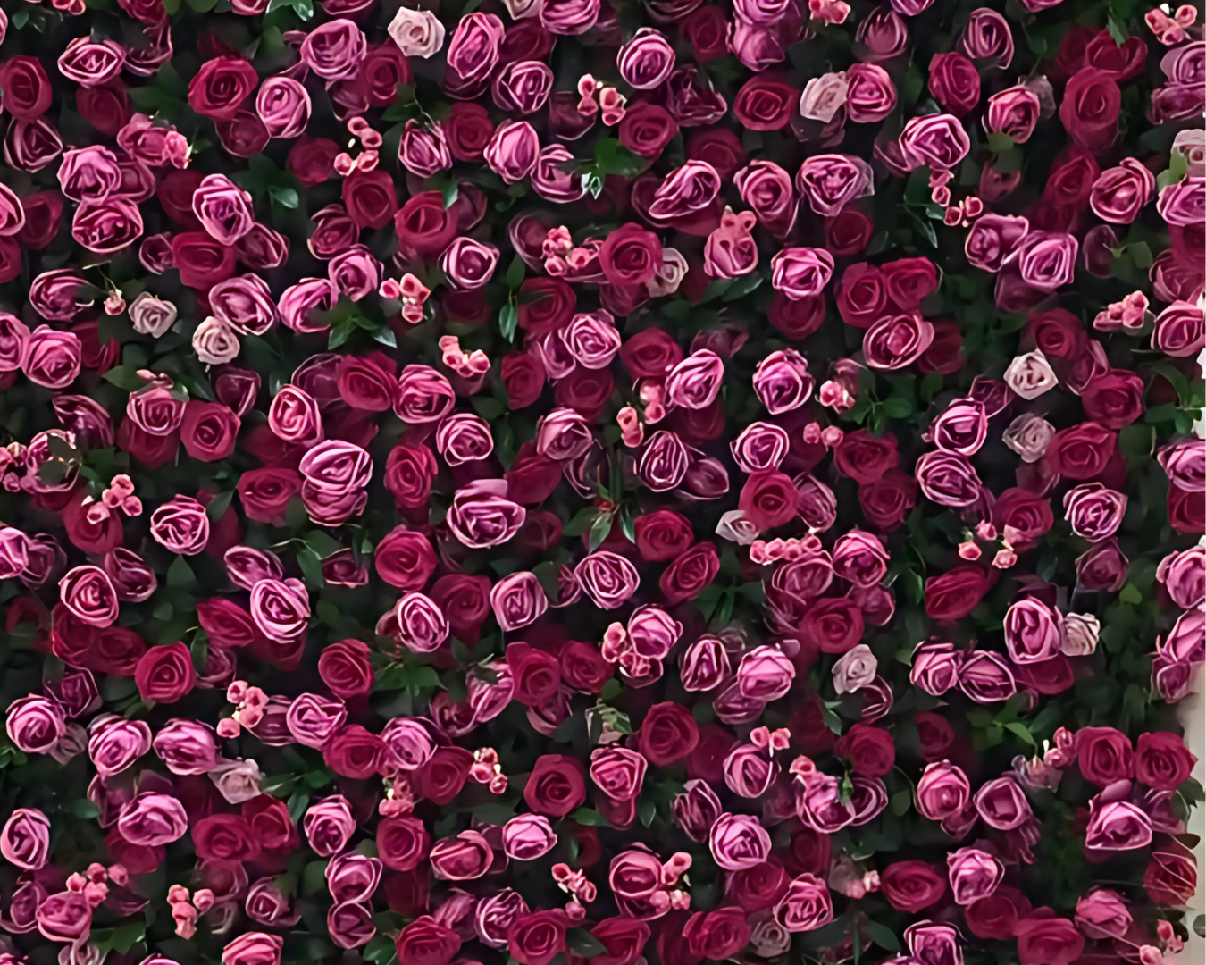 A wall covered in pink roses and green leaves.