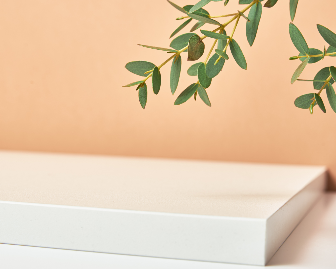 A white box with a plant on top of it.