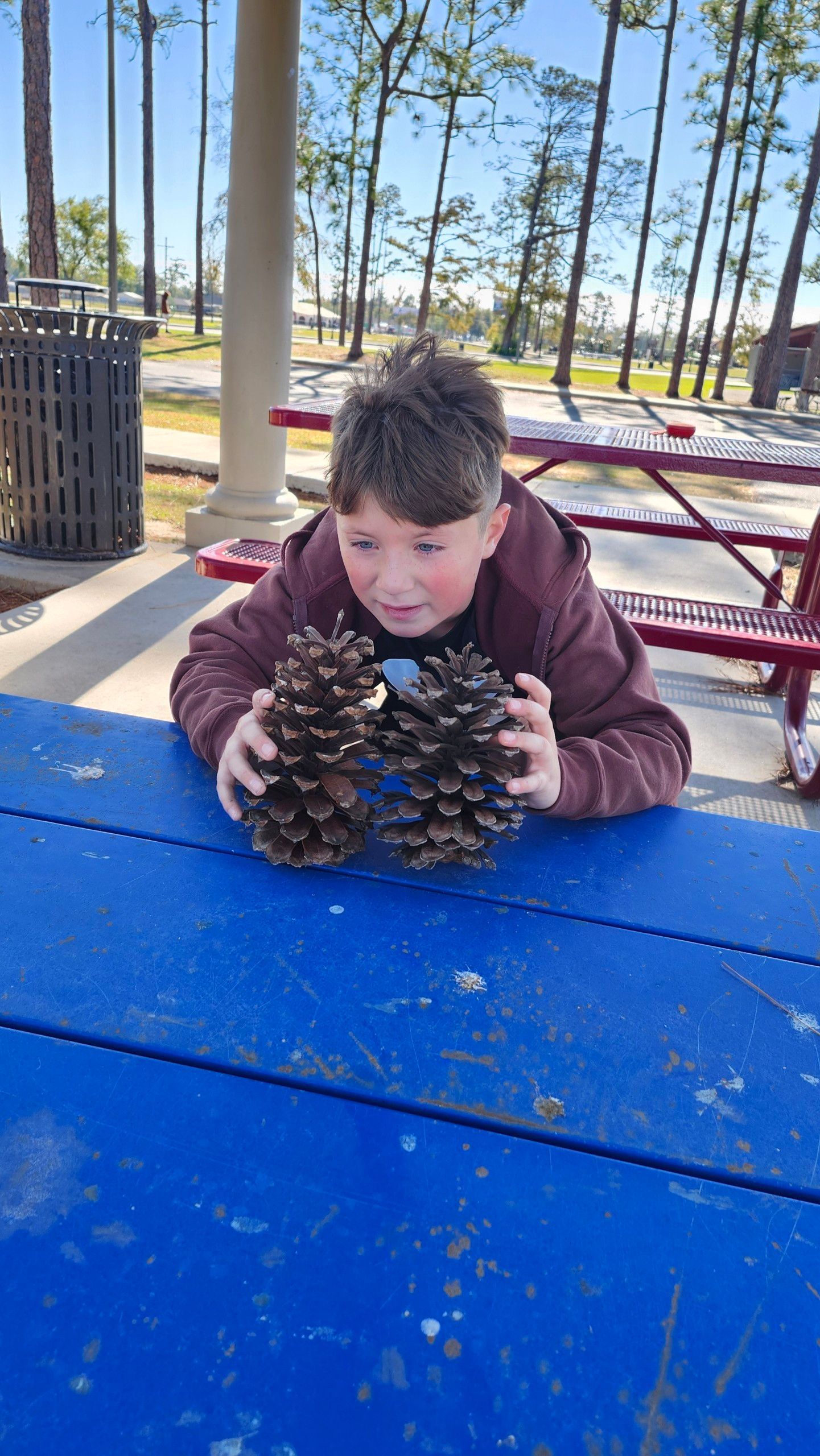 RV Resort, RV Resort Near Me, Campgrounds, Campgrounds Near Me, RV Site Near Me, RV Site Near Me, RV Parking, RV Parking Near Me, Motorhome Sites, Motorhome Sites Near Me, Motorhome Lots, Motorhome Lots Near Me, Motorhome Campground, Motorhome Campground, Near Me, Motorhome Parking, Motorhome Parking Near Me, Recreational Vehicle Campgrounds, Recreational Vehicle Campgrounds Near Me, Recreational Vehicle Site, Recreational Vehicle Site Near Me, Toy Haulers Parking, Calcasieu Parish LA, Lake Charles LA, Westlake LA, Moss Bluff LA, Sulfur LA, Iowa LA, Welsh LA, Jennings LA, Mermentau LA, Estherwood LA, Crowley LA, Orange County TX, Vinton TX, Pinehurst TX, Orange TX, West Orange TX, Vidor TX, Rose City TX, Beaumont TX, Port Arthur TX