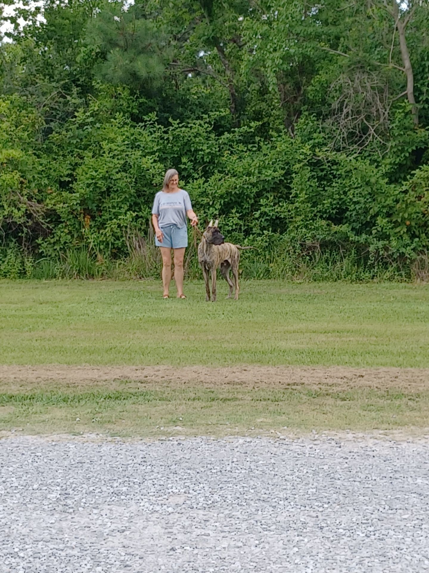 gallery-cajun-heights-rv-sites