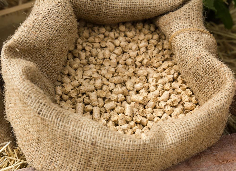 Feed In Sacks Fodder For The Animals — Premium Gardening Supplines in Cooroy, QLD